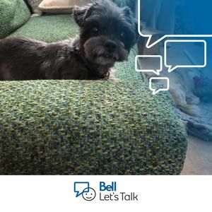 Meet your Posher, Susan